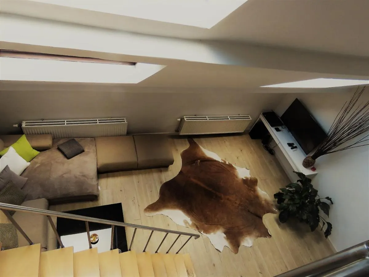 Villa Einstein Apartments Amberes